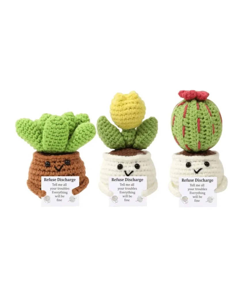 kit-diy-les-cactus-positifs-by-oke.webp