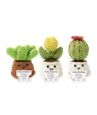 kit-diy-les-cactus-positifs-by-oke.webp