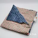 Blue rainbow plaid.webp