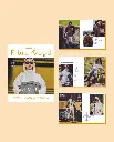 pattern-book-special-n4_fibre moods.webp