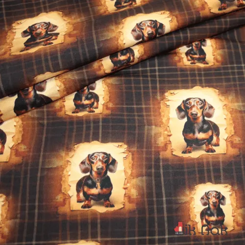 French terry motif teckel_Stenzo.webp