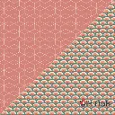 Rainbow coton (3).webp